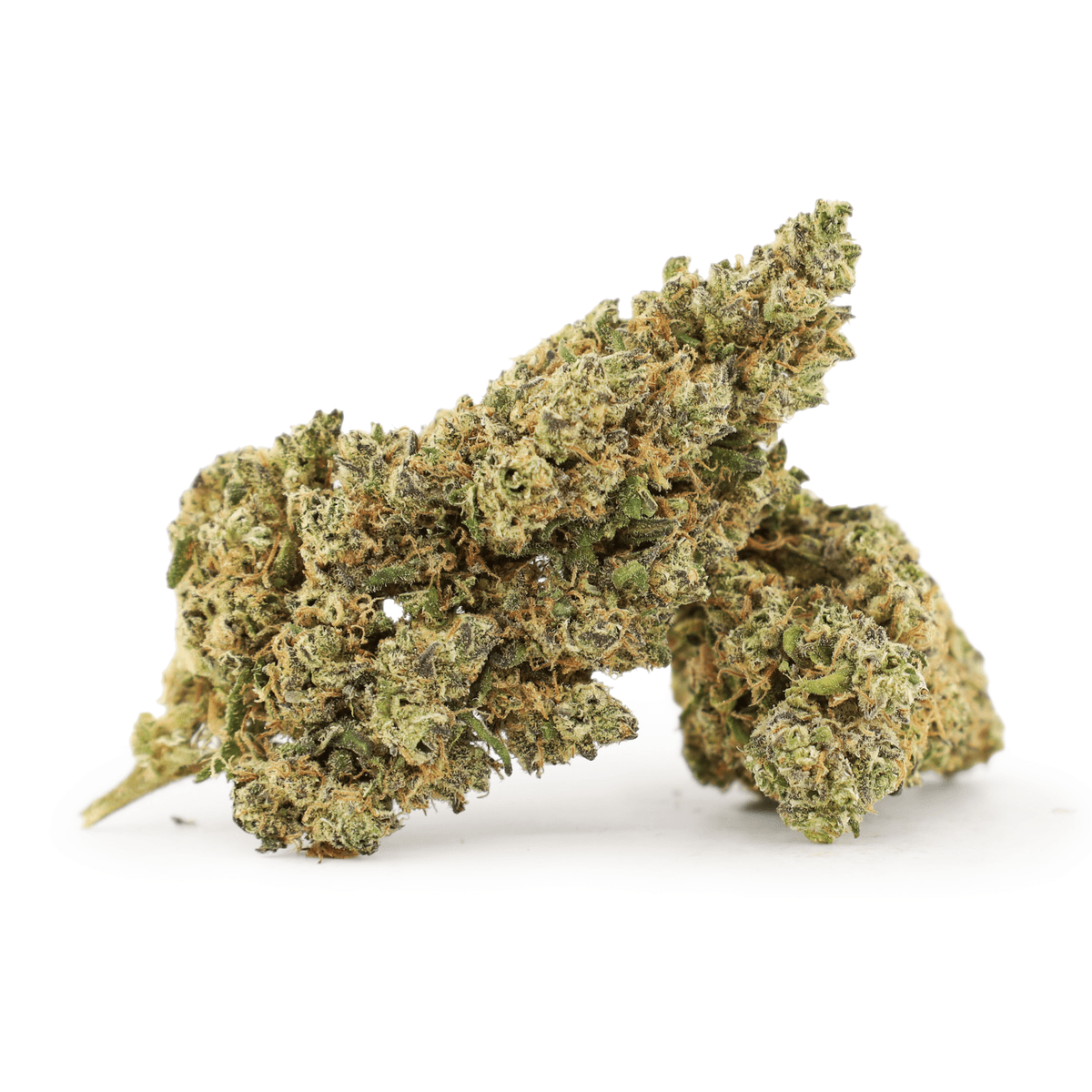 Skunk #1
